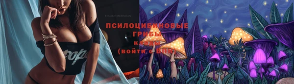 apvp Нязепетровск