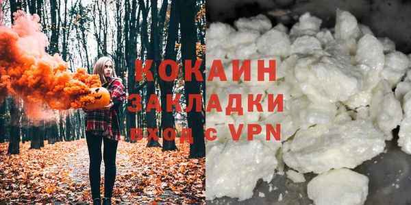 твердый Ельня